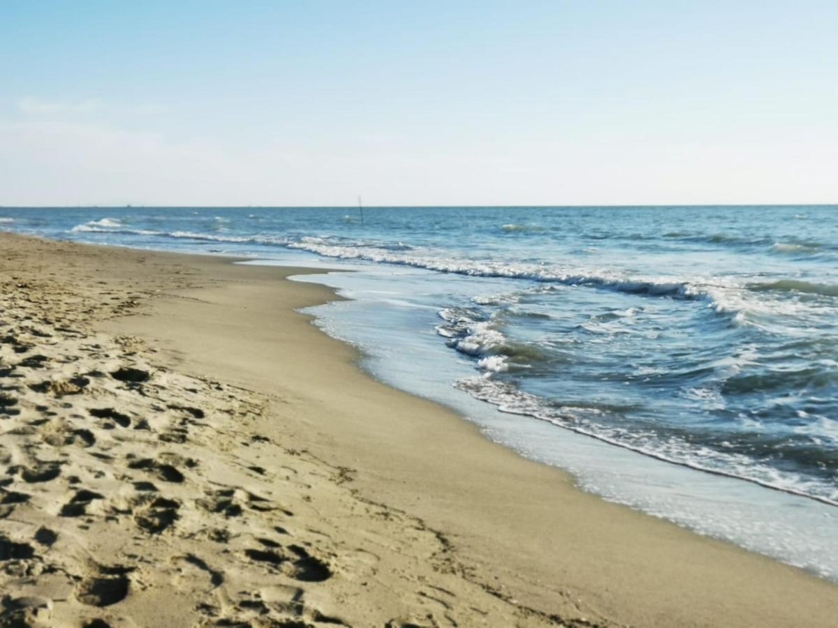 Appartamento In Villa A Tirrenia, Eleganza E Comfort A Pochi Passi Dal Mare Пиза Экстерьер фото